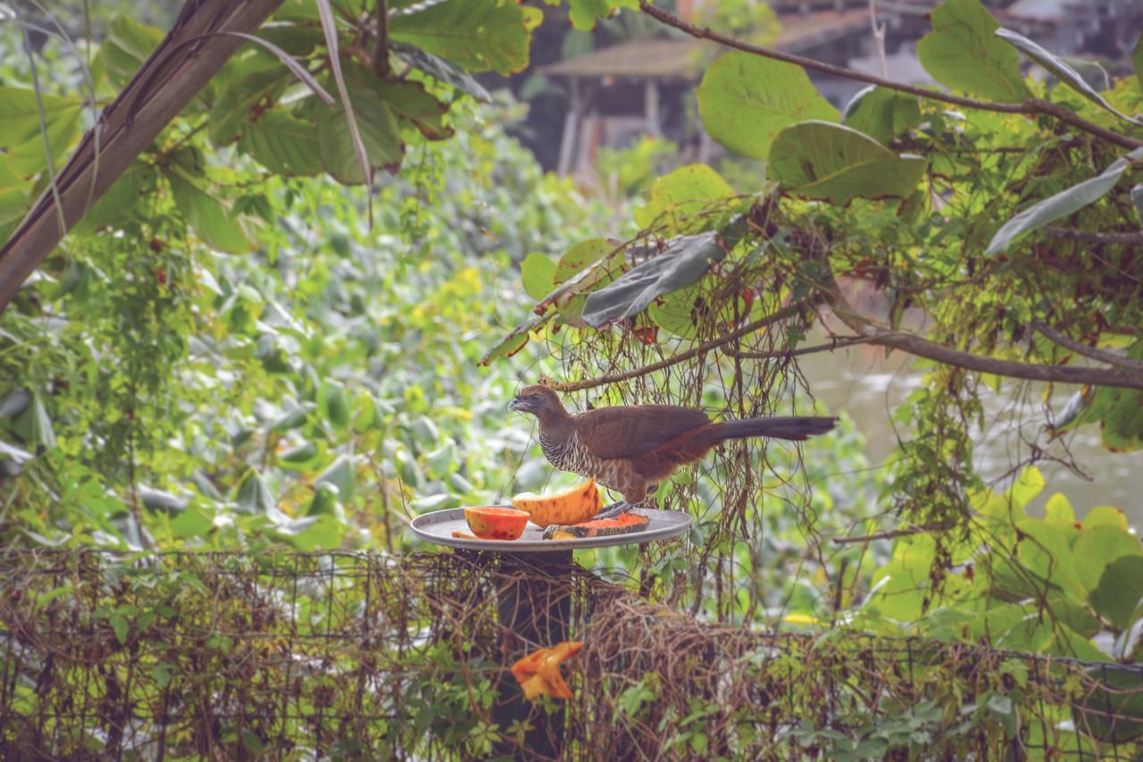 Pousada Canto Da Brava Balneário Camboriú Exteriér fotografie